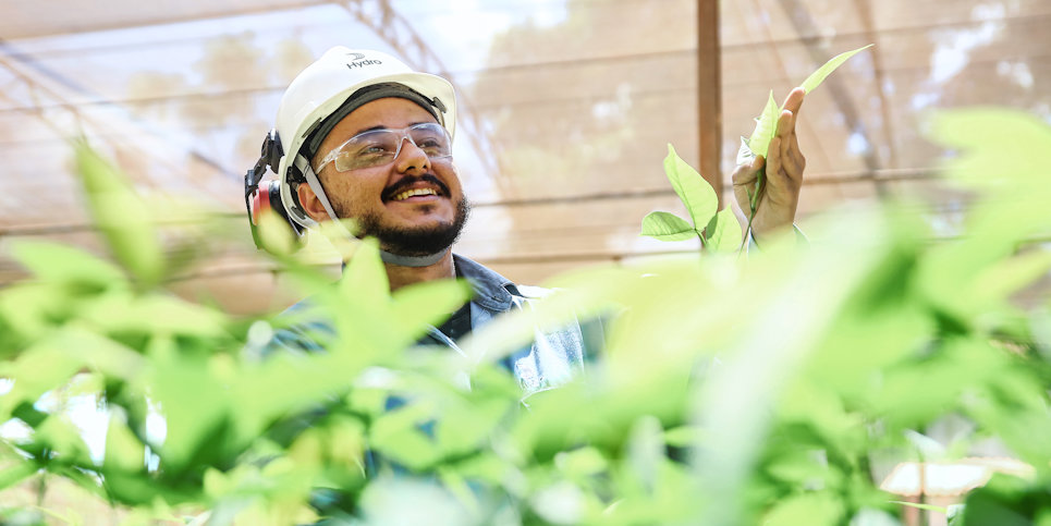 a person in a white helmet in a greenhouse